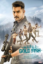 Operation Gold Fish